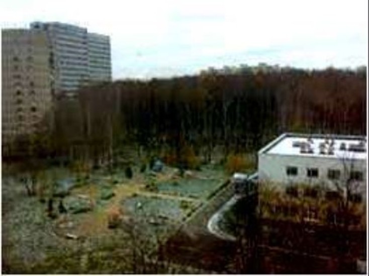 Текущий ремонт